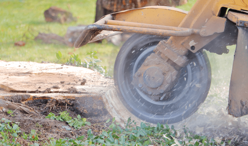 All Around Tree Service